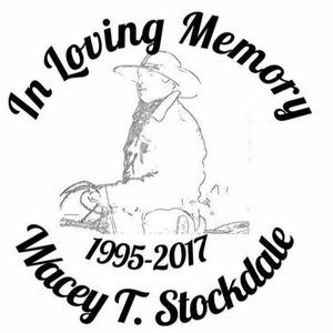 Meet your Posher, Joey